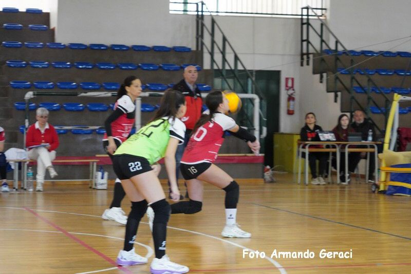 DSC04067_tn.jpg