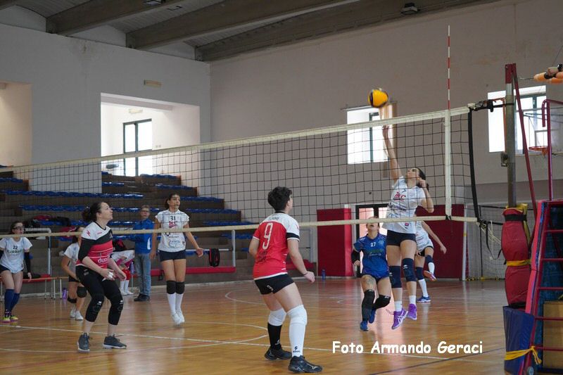 DSC04086_tn.jpg