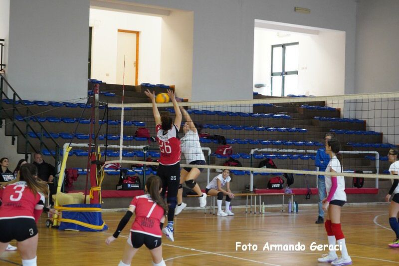 DSC04104_tn.jpg
