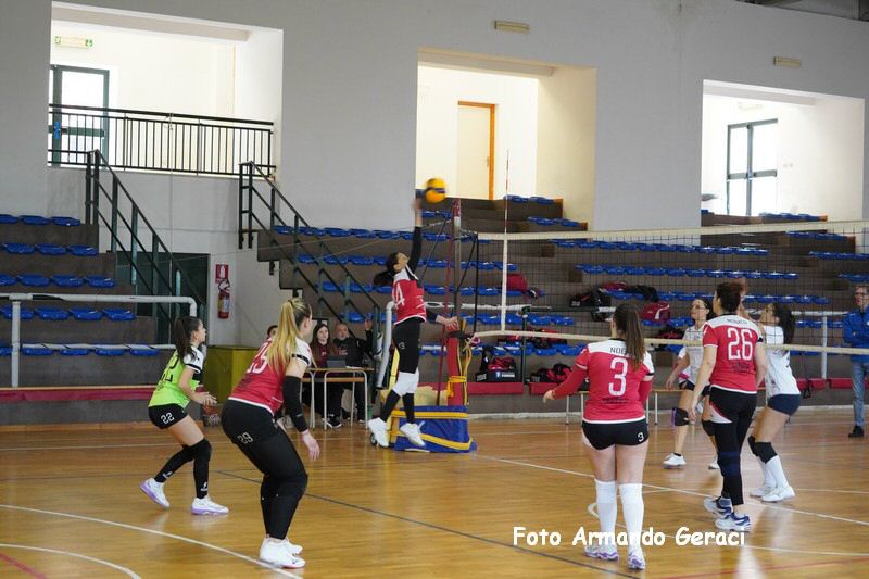 DSC04112_tn.jpg