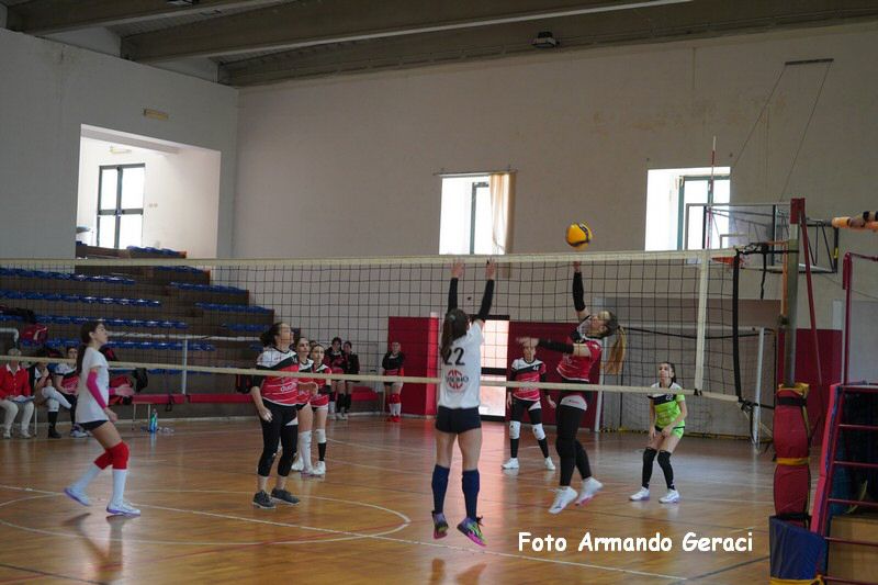 DSC04117_tn.jpg