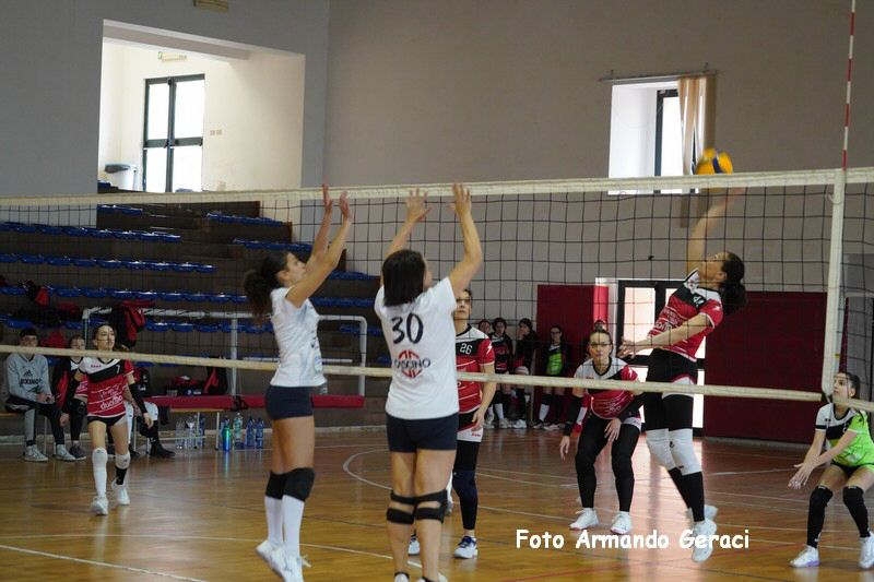 DSC05196_tn.jpg