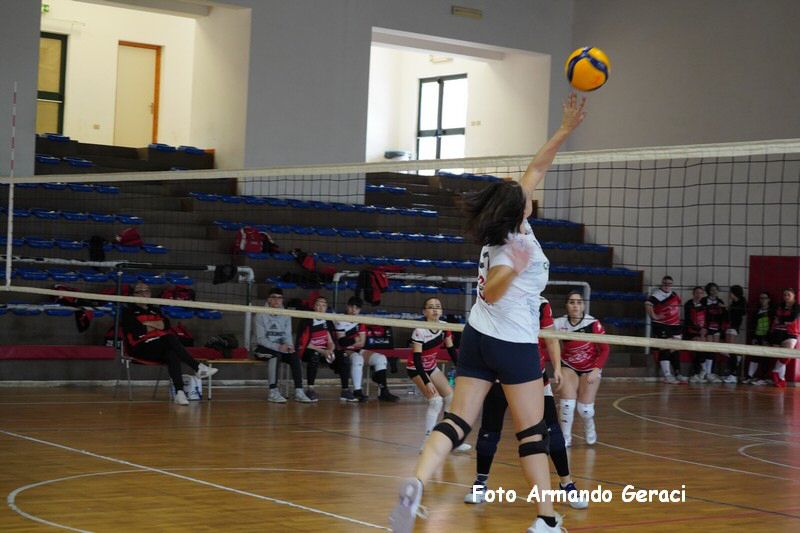 DSC05197_tn.jpg