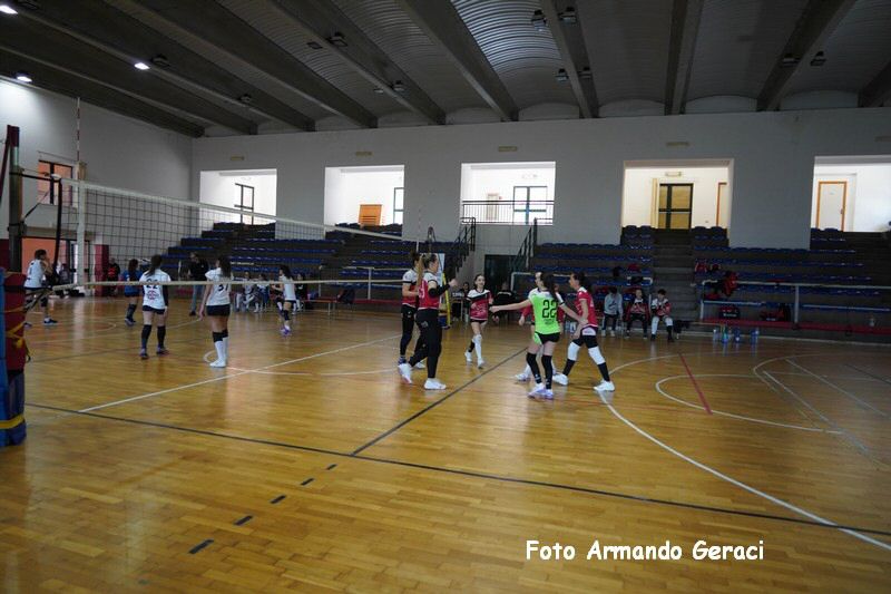 DSC05201_tn.jpg