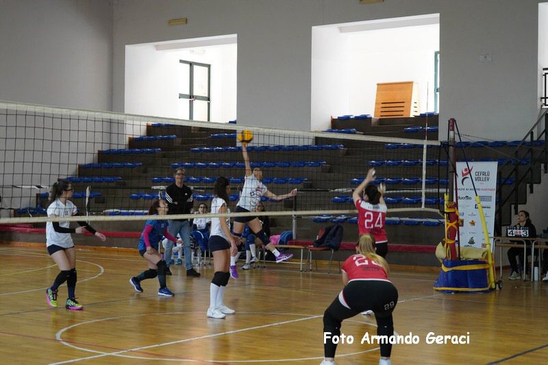 DSC05204_tn.jpg