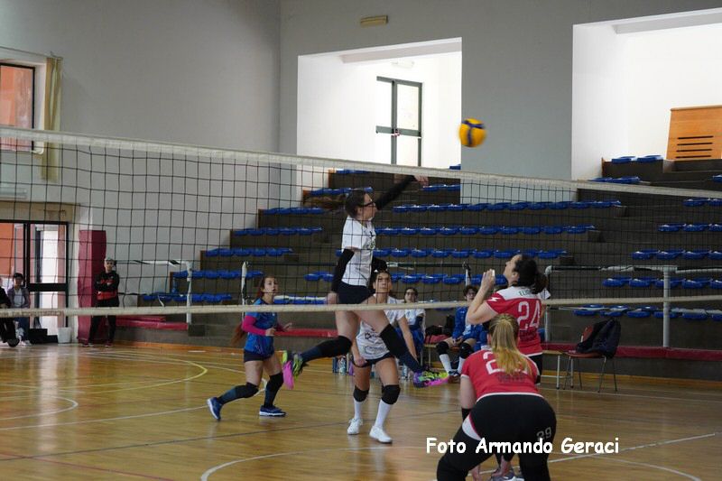 DSC05206_tn.jpg