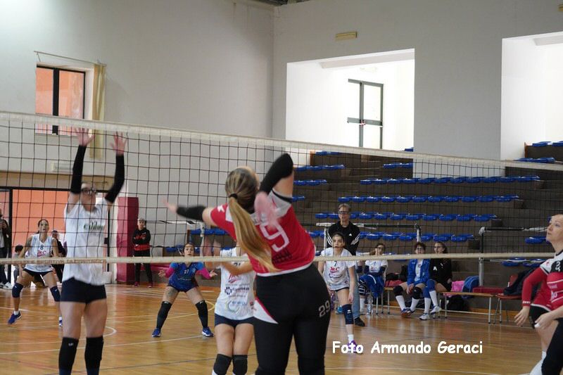 DSC05208_tn.jpg