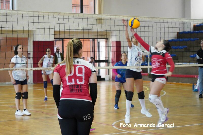 DSC05211_tn.jpg