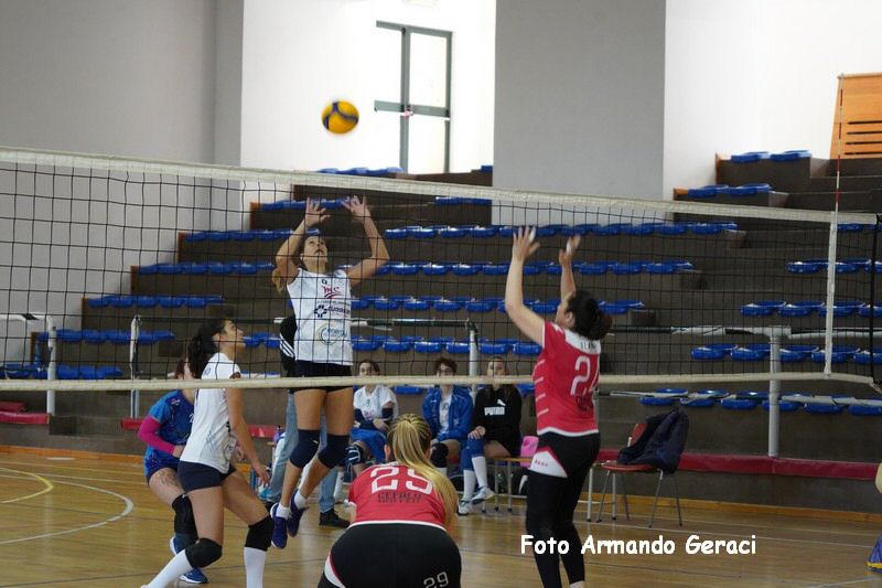 DSC05215_tn.jpg