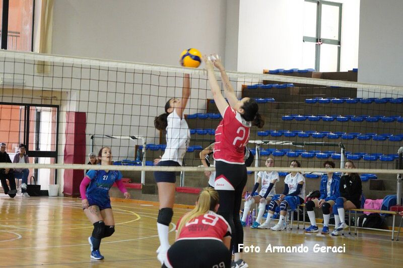 DSC05223_tn.jpg