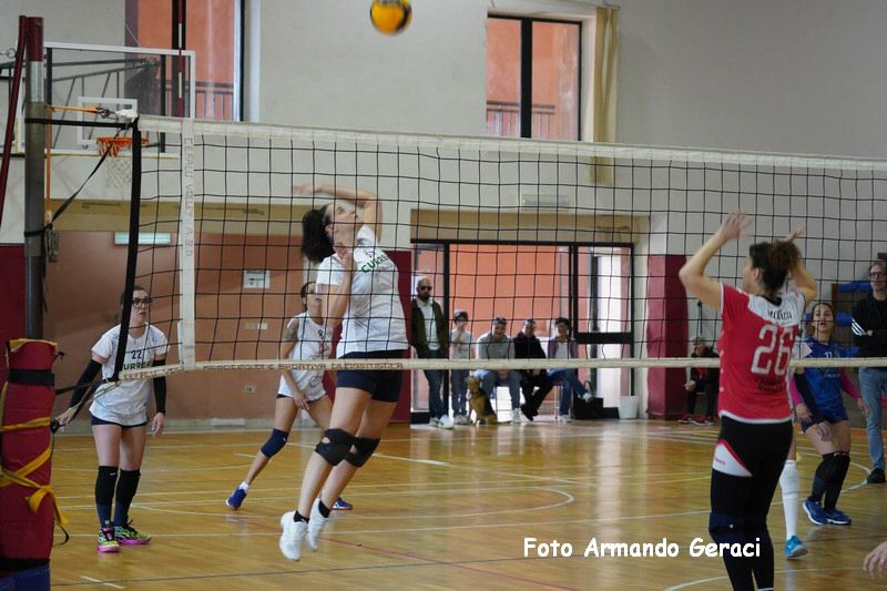DSC05240_tn.jpg