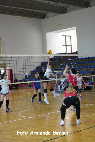 DSC05245_tn.jpg