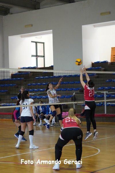 DSC05248_tn.jpg