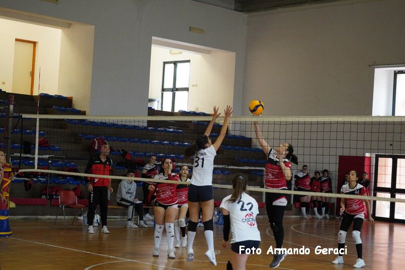 DSC05252_tn.jpg
