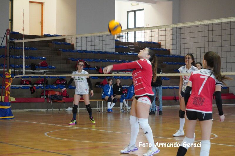 DSC05270_tn.jpg