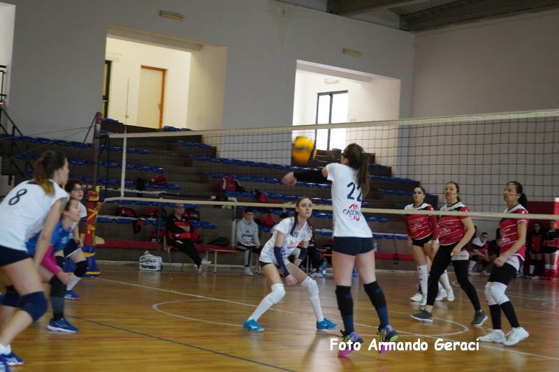 DSC05318_tn.jpg