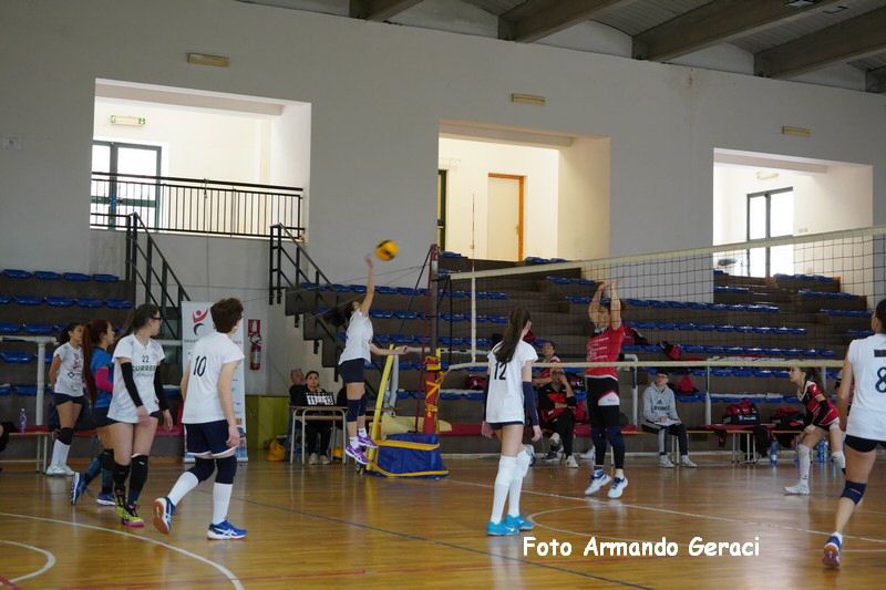 DSC05323_tn.jpg