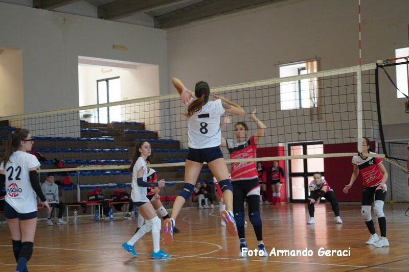 DSC05334_tn.jpg