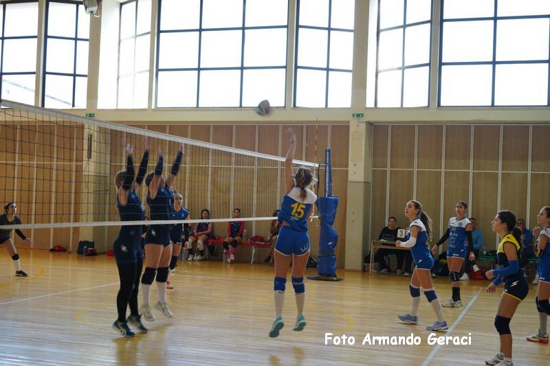 DSC06231_tn.jpg