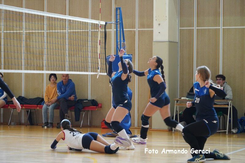 DSC06290_tn.jpg