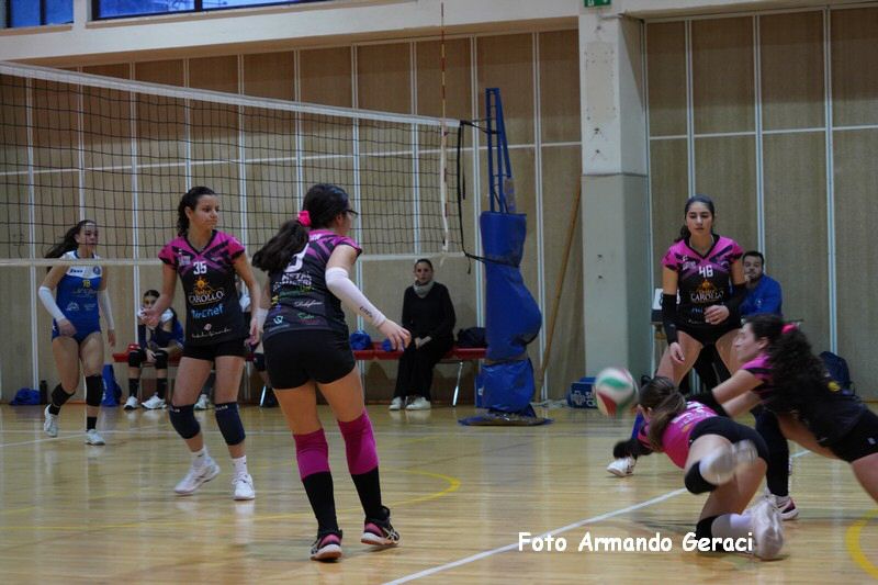DSC08131_tn.jpg