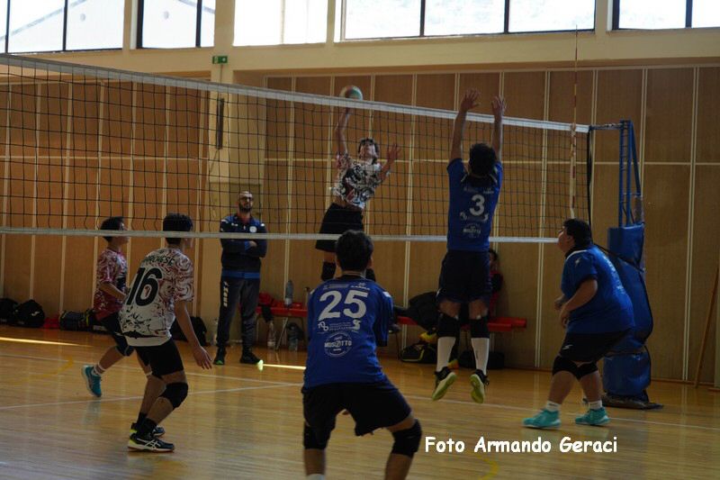 DSC08797_tn.jpg