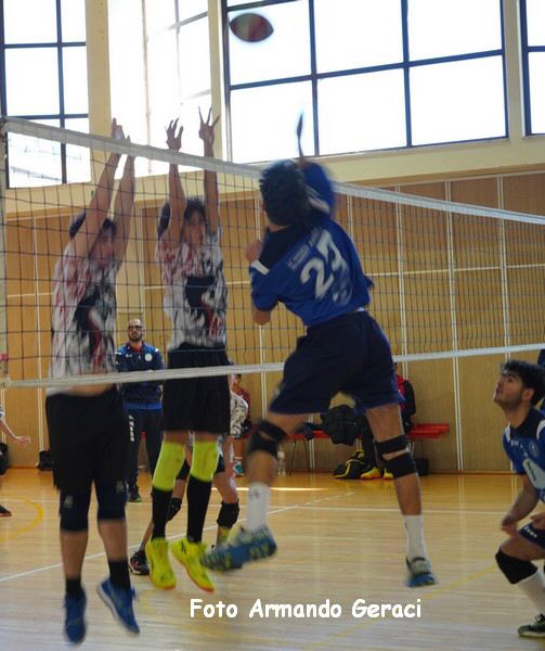 DSC08801y_tn.jpg