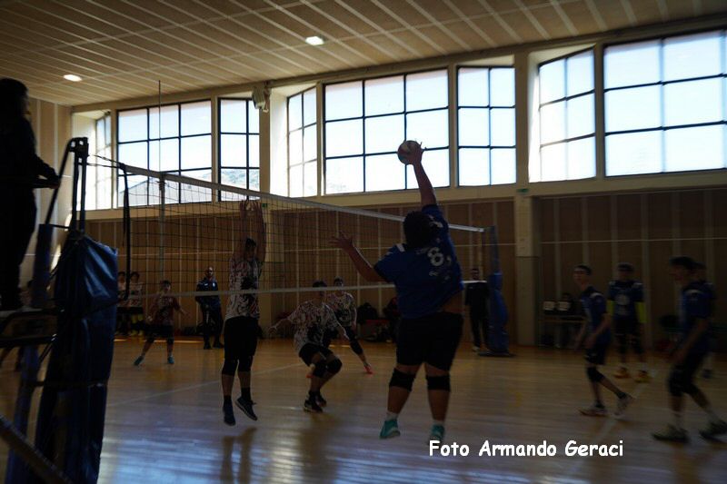 DSC08817_tn.jpg