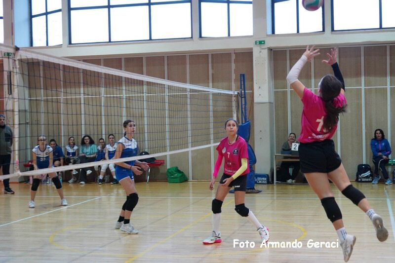 DSC08894_tn.jpg