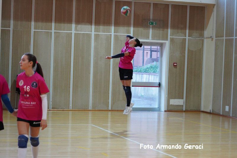 DSC08903_tn.jpg