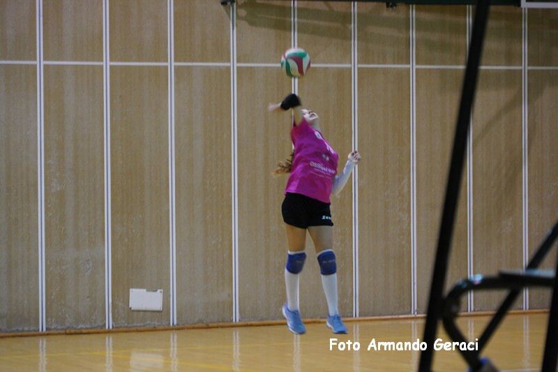 DSC08941_tn.jpg