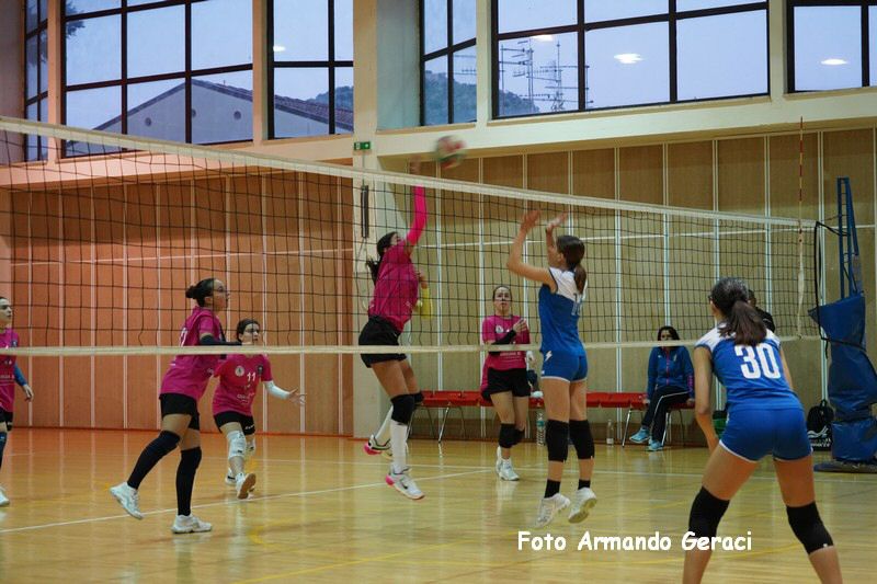 DSC08942_tn.jpg