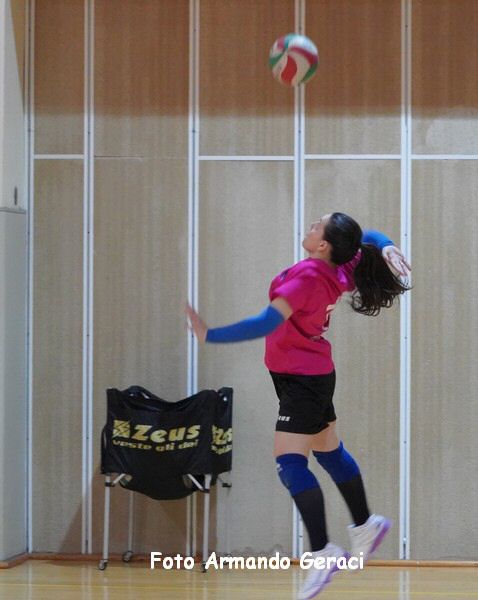 DSC08955y_tn.jpg