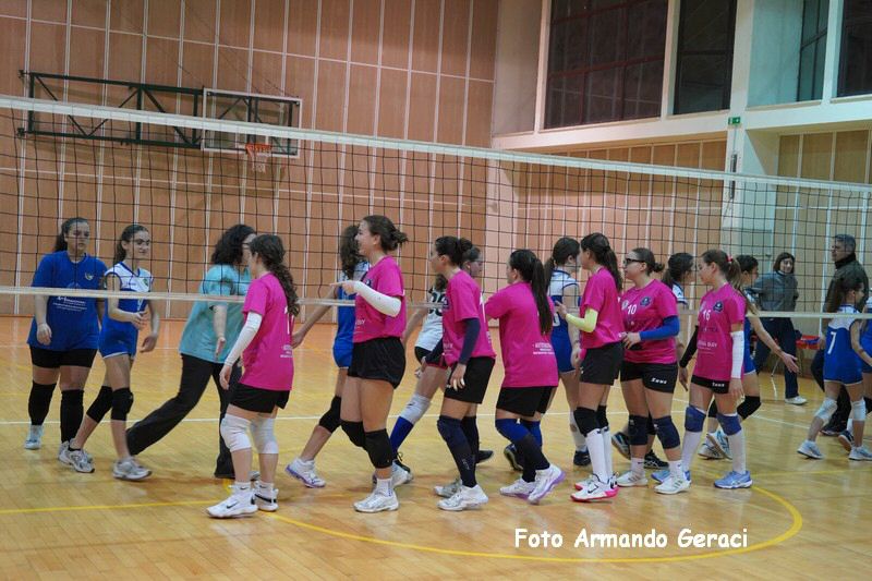 DSC08977_tn.jpg