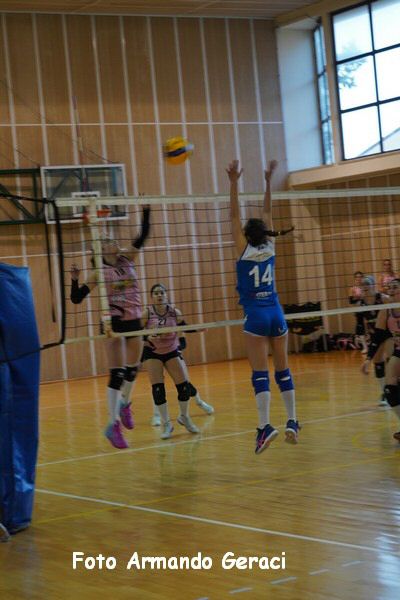 DSC00317_tn.jpg