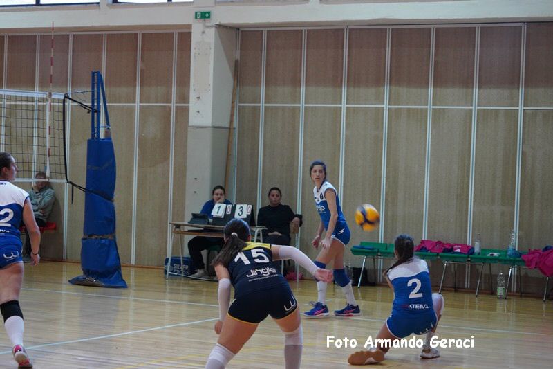 DSC00320_tn.jpg