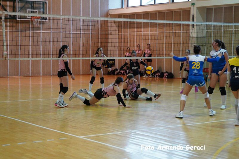 DSC00329_tn.jpg