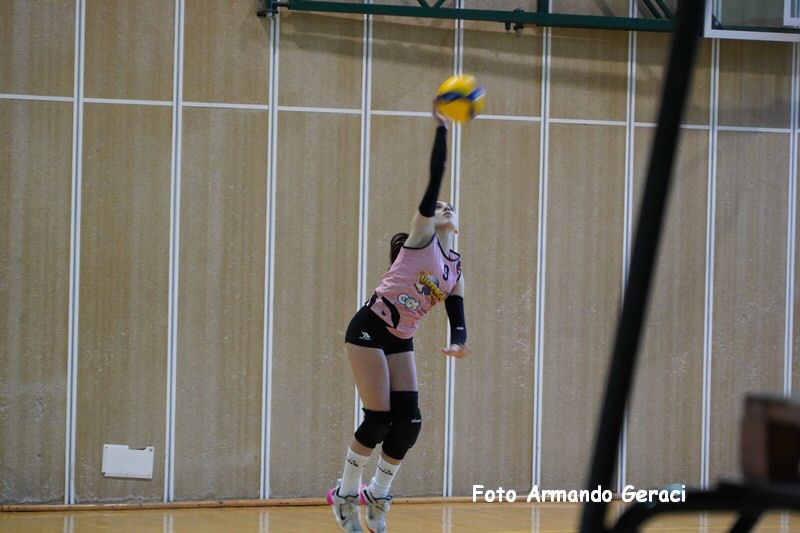 DSC00331_tn.jpg