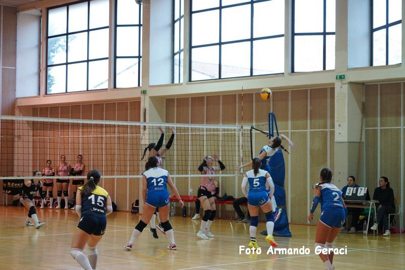 DSC00335_tn.jpg