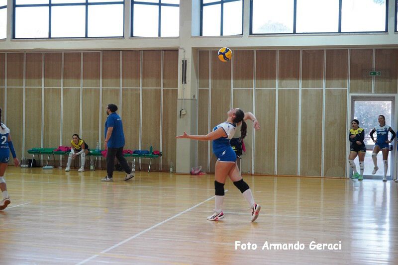 DSC00337_tn.jpg
