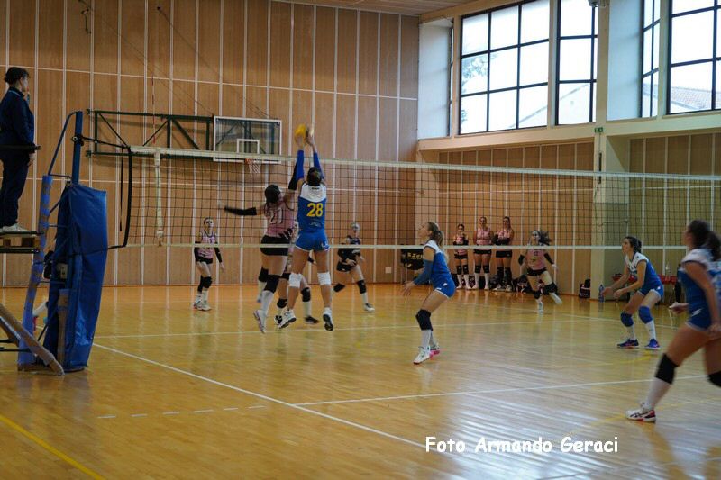 DSC00338_tn.jpg