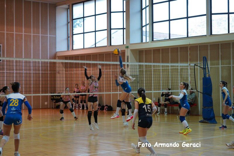 DSC00347_tn.jpg