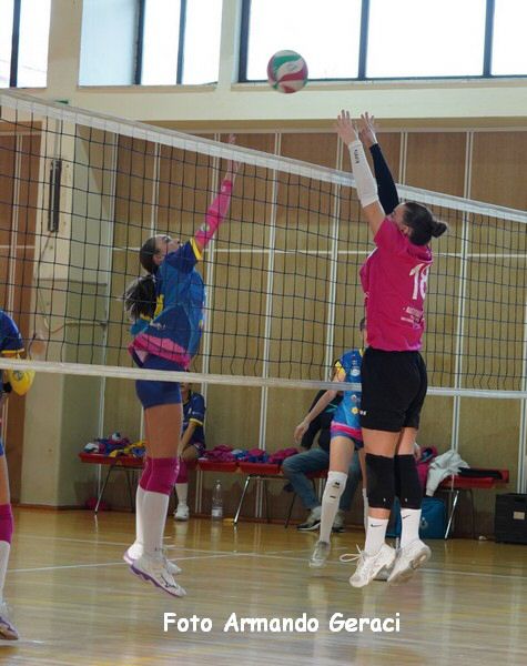 DSC00707y_tn.jpg