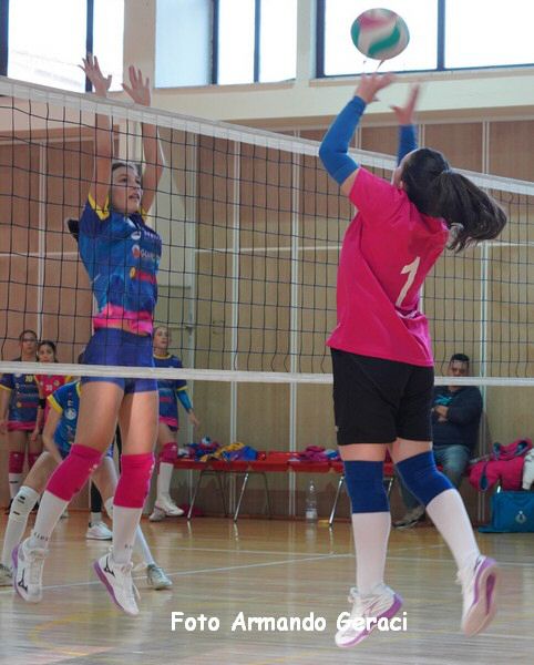 DSC00713y_tn.jpg