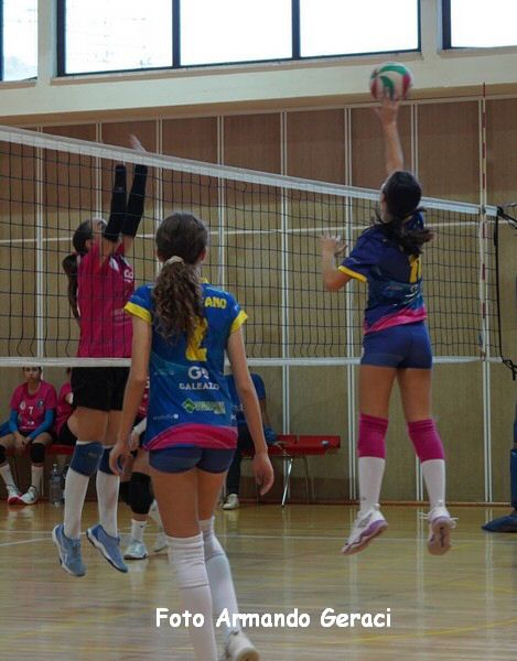 DSC00770y_tn.jpg