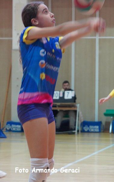 DSC00785y_tn.jpg