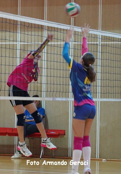 DSC00787y_tn.jpg