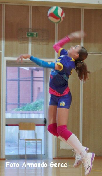 DSC00792y_tn.jpg