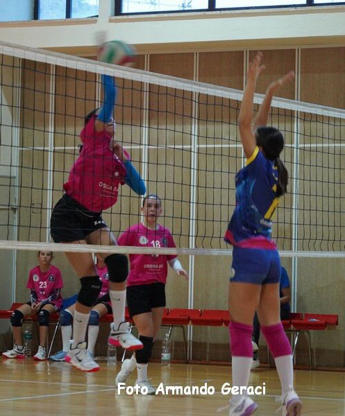 DSC00797y_tn.jpg