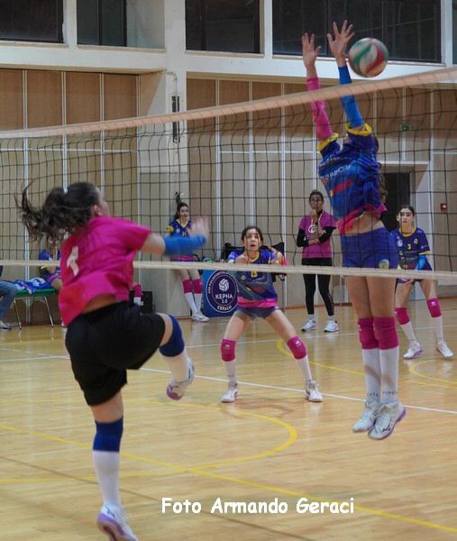 DSC00881y_tn.jpg